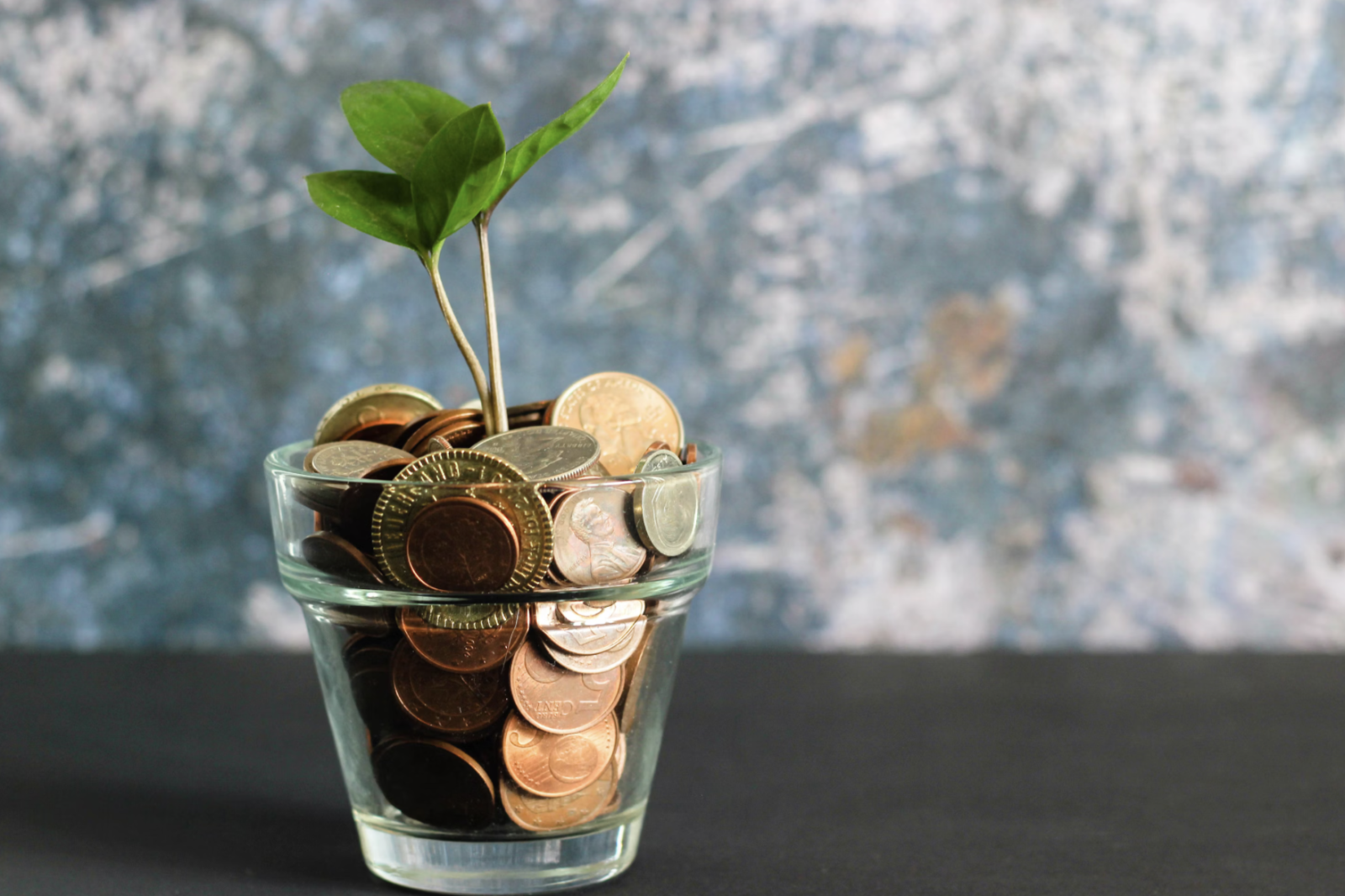 Sustainability That Pays Off: How Better Data Cuts Waste Across Your Supply Chain